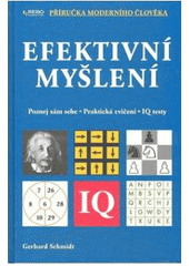 kniha Efektivní myšlení poznej sám sebe : praktická cvičení, IQ testy, Rebo 2008