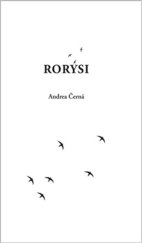 kniha Rorýsi, Work in progress 2025