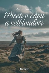 kniha Píseň o čápu a velbloudovi, Bourdon 2024