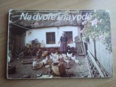 kniha Na dvoře i na vodě, Mladé letá 1989