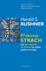 kniha Překonat strach jak se radovat ze života ve světě plném hrozeb, Vyšehrad 2010