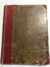 kniha Šílená vášeň (Fanny), I.L. Kober 1894