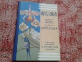 kniha Amerika Kulturní obrázky z Ameriky severní, A. Storch syn 1925