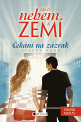 kniha Mezi nebem a zemí – Čekání na zázrak, Fragment 2014