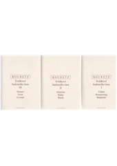 kniha Svědkové budoucího času. III, - L. Strauss, H. Jonas, E. Lévinas, Oikoymenh 2009