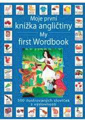 kniha Moje první knížka angličtiny 500 obrázků a slovíček v angličtině a češtině, Svojtka & Co. 2010