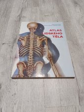 kniha Atlas lidského těla , Rebo 2013