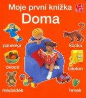 kniha Doma, Svojtka & Co. 2003