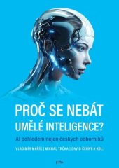 kniha Proč se nebát umělé inteligence?, Jota 2024