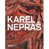 kniha Karel Nepraš, DOX Centrum současného umění 2012