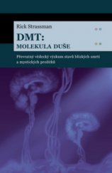kniha DMT: molekula duše převratný vědecký výzkum stavů blízkých smrti a mystických prožitků, Dybbuk 2005