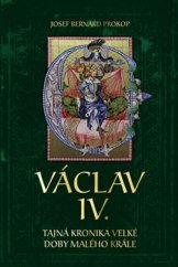 kniha Václav IV. - Tajná kronika velké doby malého krále, Fortuna Libri 2016