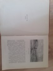 kniha Sousedé maloměstská historie z minulého století, Libuše, Matice zábavy a vědění 1883