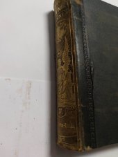 kniha Ottův slovník naučný IV. - Bianchi-Giovini, J. Otto 1891
