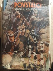 kniha Povstalci IV. [podle vlastních deníků, původních dopisů a poznámek bratří F. Čecha a Matěje Nižnanského z roku 1919], Osvětový odbor Družiny dobrovolců čsl. zahraničního vojska 1938