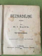 kniha Beznadějní román, Politika 1906