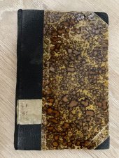 kniha Newtonův mozek Romanetto, J. Otto 1877