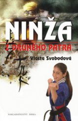 kniha Ninža z druhého patra, Erika 2009