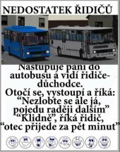 kniha Úvod do teorie a praxe vězeňství, Vysoká škola evropských a regionálních studií 2006