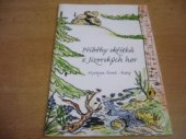 kniha Příběhy skřítků z Jizerských hor, Vydala ekoporadna ORSEJ při MDC Maják 2007