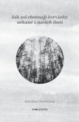 kniha Jak asi chutnají červánky utkané z našich duší, Pointa 2021