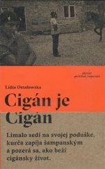kniha Cigán je Cigán, Absynt 2016