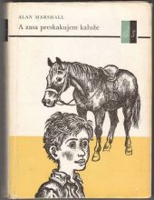 kniha A zasa preskakujem kaluže, Mladé letá 1973