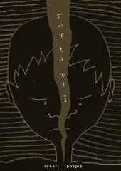 kniha Sme to my?, Limerick 2013