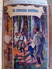 kniha Za ztracenou sestřičkou povídka pro mládež, s.n. 1928