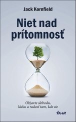 kniha Niet nad prítomnosť Objavte slobodu, lásku a radosť tam, kde ste, Ikar 2018