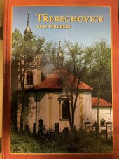 kniha Třebechovice pod Orebem, Město Třebechovice pod Orebem 2004