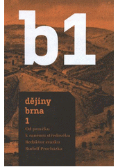 kniha Dějiny Brna. 1, - Od pravěku k ranému středověku, Statutární město Brno 2011