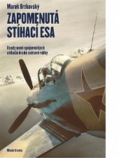 kniha Zapomenutá stíhací esa Osudy osmi spojeneckých stíhačů druhé světové války, Mladá fronta 2020