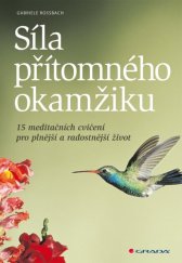 kniha Síla přítomného okamžiku 15 meditačních cvičení pro plnější a radostnější život, Grada 2014