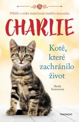 kniha Charlie Kotě, které zachránilo život, Fragment 2017
