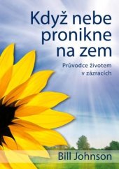 kniha Když nebe pronikne na zem průvodce životem v zázracích, Juda 2009