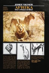 kniha Afrika Ráj a peklo zvířat : (Afrika od Atlasu na jih), Svoboda 1978