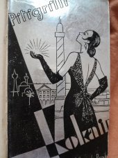 kniha Kokaina román, Adolf Synek 1928