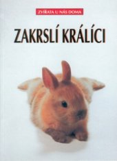 kniha Zakrslí králíci, Cesty 1999