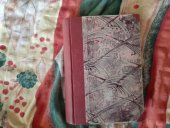 kniha Dva mládenci se žení, Novela, Karel Ninger 1932