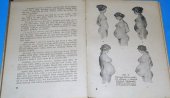 kniha Mladá matka Pravé rady českým ženám ... : Příruční kniha pro pomocnice ku porodu, Rudolf Storch 1923