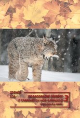 kniha Dobrodružné příběhy z kanadských hor a pralesů 3, Tomáš Nosek 2021