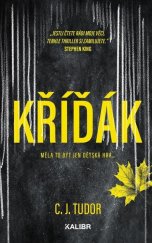 kniha Kříďák, Kalibr 2025