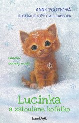 kniha Lucinka a zatoulané koťátko Vánoční zázraky se dějí, Bambook 2020