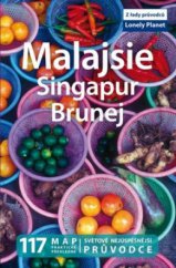 kniha Malajsie, Singapur a Brunej, Svojtka & Co. 2010