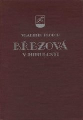 kniha Březová v minulosti, Město Březová 1995