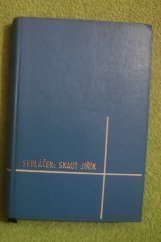 kniha Skaut Jiřík Povídka o ukradeném děvčátku a hrdinství 2 skautů, Pokorný 1935