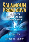 kniha Šalamoun promlouvá O návratu k léčivé energii vašeho života, Plot 2013