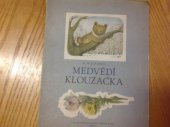 kniha Medvědí klouzačka Pro předškolní i školní věk, SNDK 1957
