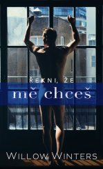 kniha Řekni, že mě chceš, Baronet 2023